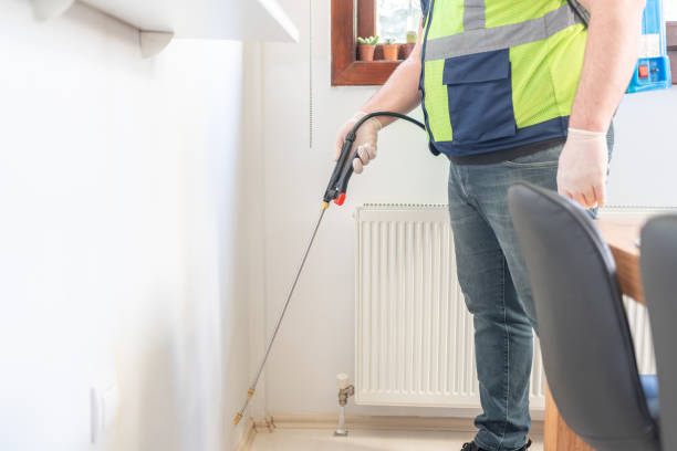 Best Termite Control Services  in Daytona Beach, FL