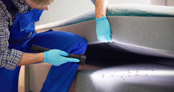 Insect Control in Daytona Beach, FL
