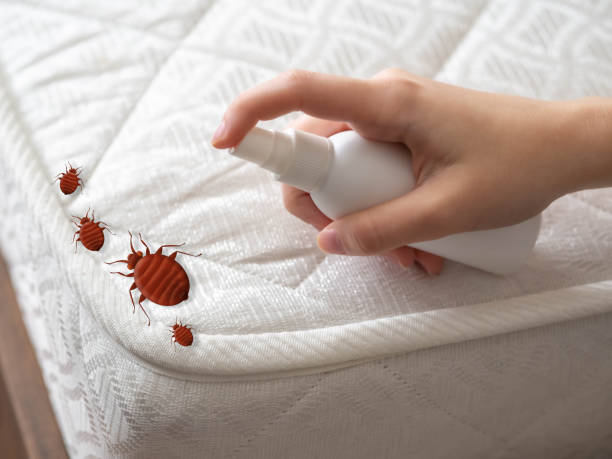 Best Best Pest Control Companies  in Daytona Beach, FL