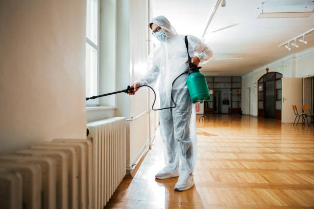 Wasp Removal Services in Daytona Beach, FL