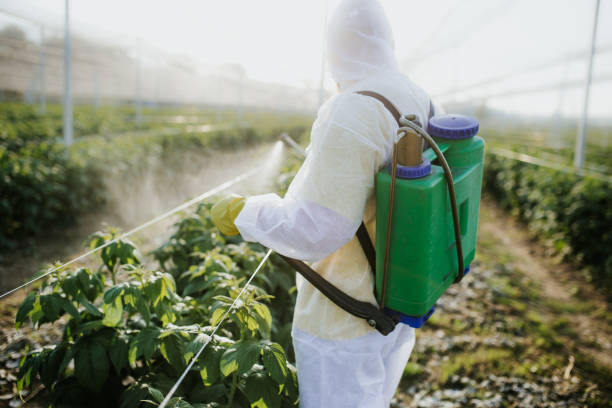 Best Ant Control Services  in Daytona Beach, FL